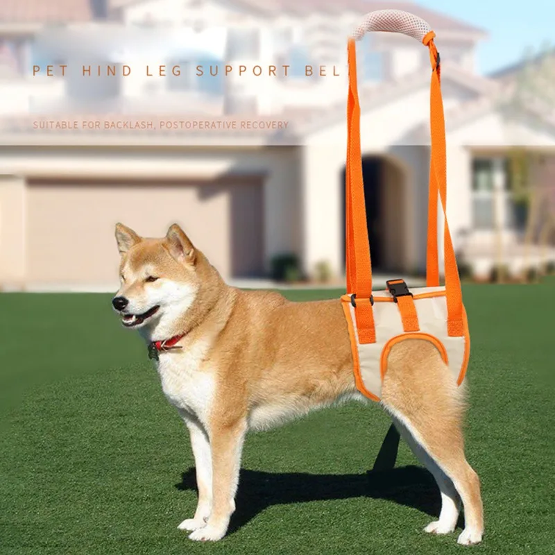Pet Hind Leg Support Strap Oxford Cloth Breathable Double fixation Adjustable Assist Belt For Elder Dog