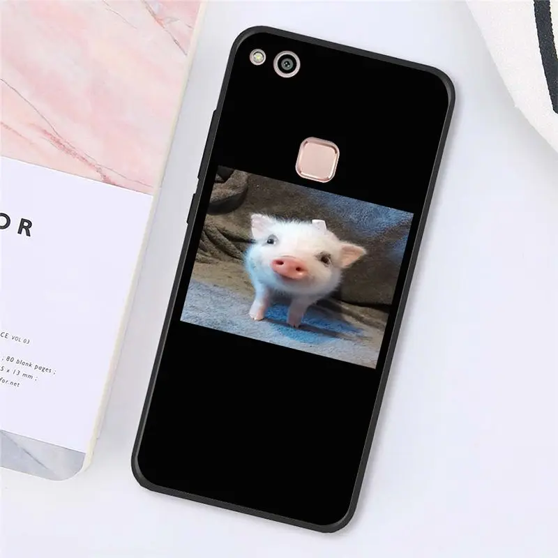 Cute Little Pink Pet Pig