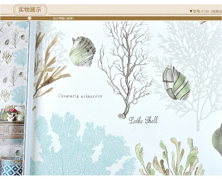 O1CN0126m1LeJ48MxR6fH_!!2790067703