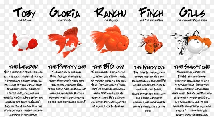 金鱼 金鱼png图片素材免费下载 图片编号 Png素材网