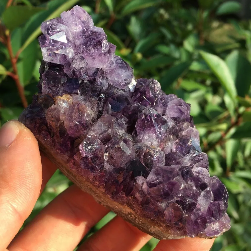 QQ图片20190909183703