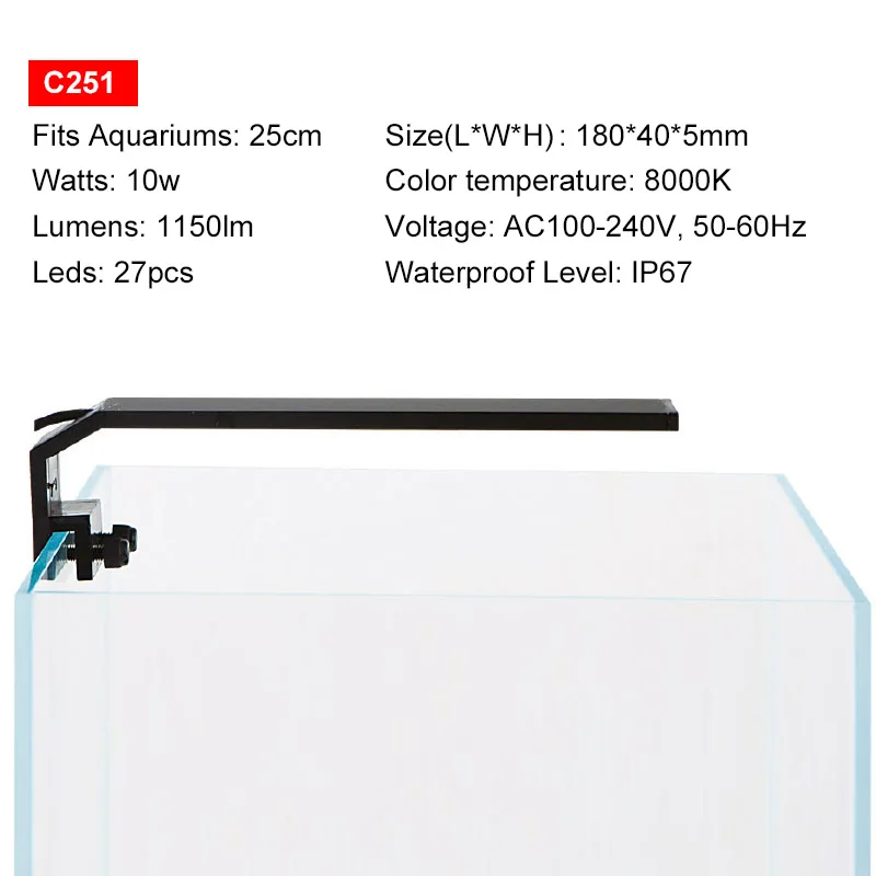 C251
