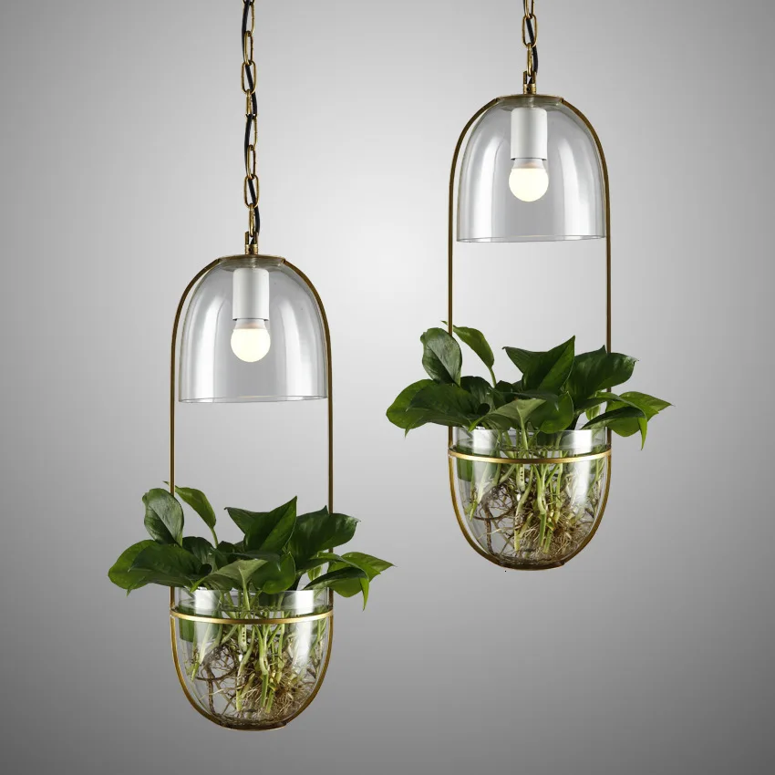 

A Restaurant Bar Counter Tea With Milk Cake Shop Display Window Wrought Iron Water Culture Green Trailing Plants A Chandelier