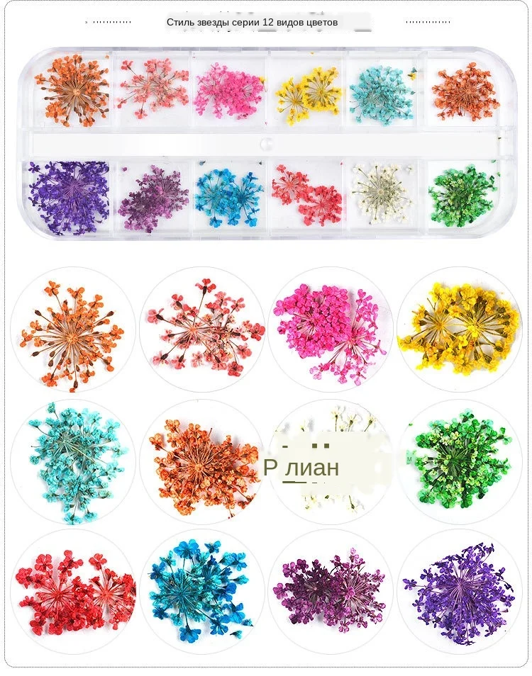 natural dry flower Nail Art Decorations