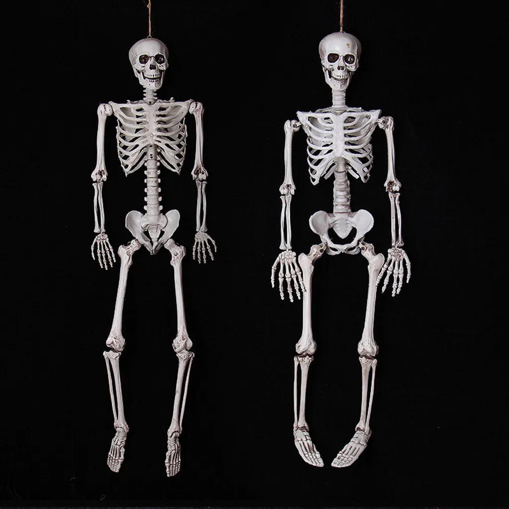 Человека вечерние украшения на хэлоуин, популярный товар Poseable полные Размеры Скелет анатомическая