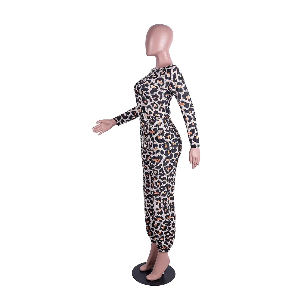 12074208518_1404214863