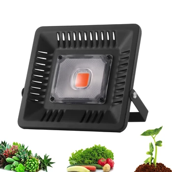

Led Full Spectrum Grow Lamp100W 220V Outdoor Phyto Light Growth Floodlight For Plant Greenhouse Seeding High Quality