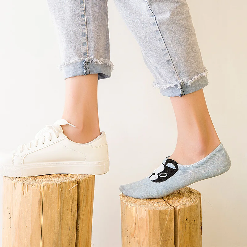 11464018802_426497174