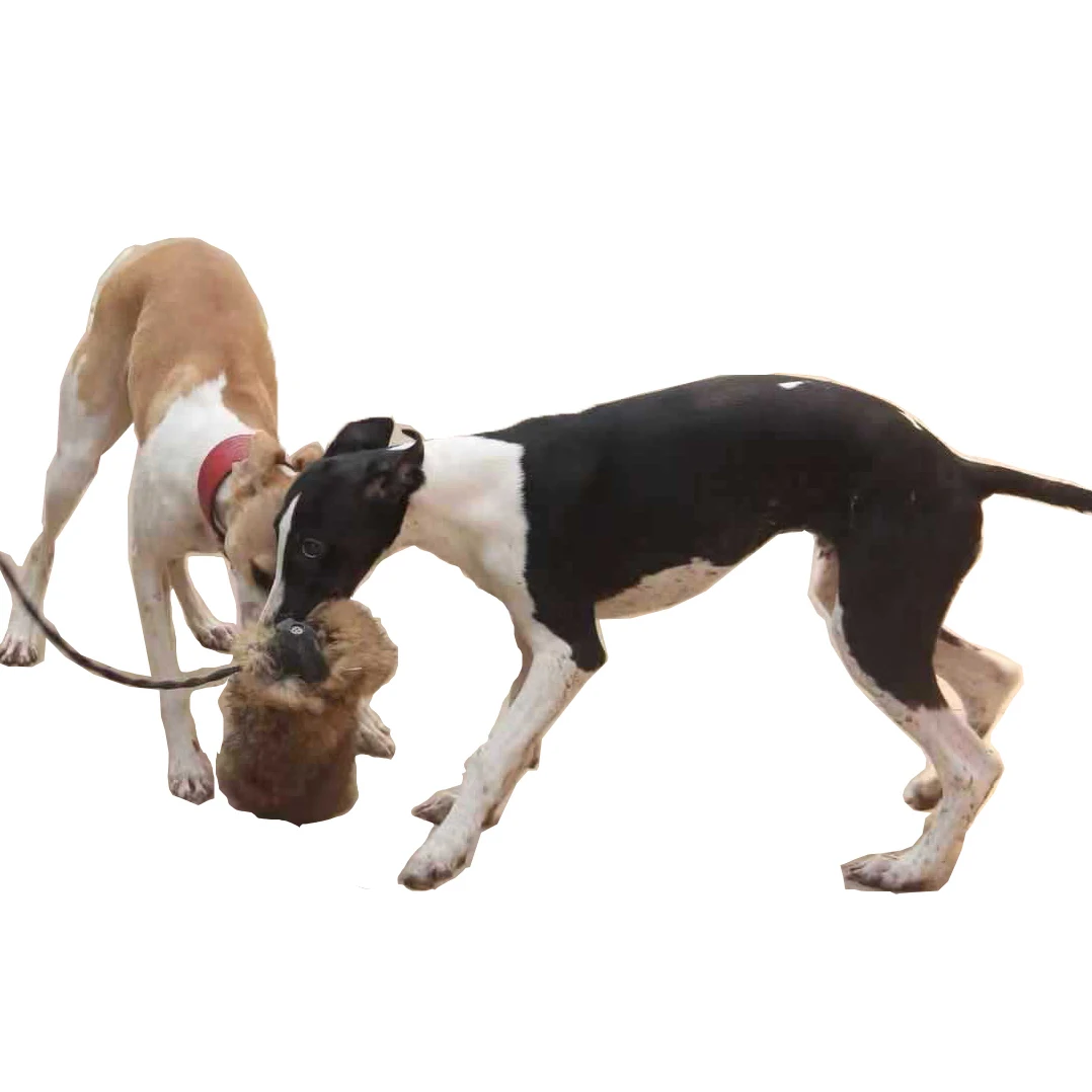 Pet Dog Toys Artifact Fake Prey Simulation Vocal Rabbit for Dog Training Chewing Barking Training Squeaky Whistling Device
