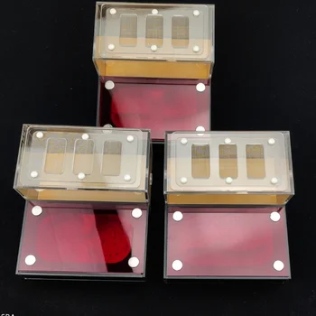 

New Ant Farm and Active Area Acrylic Ant Nest Reptile Terrarium Unique Gifts