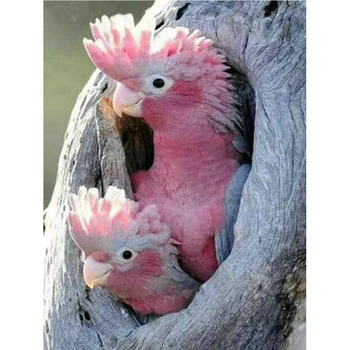 

Rhinestone 5d diamond painting pink parrot full square diamond mosaic tree hole bird icon crafts embroidery home decoratio L1115