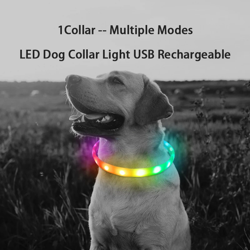 D Buckle USB Rechargeable Dog Collar LED Light Night Safety Glowing Collar Pet Luminous Flashing Necklace Anti-Lost Harnesses