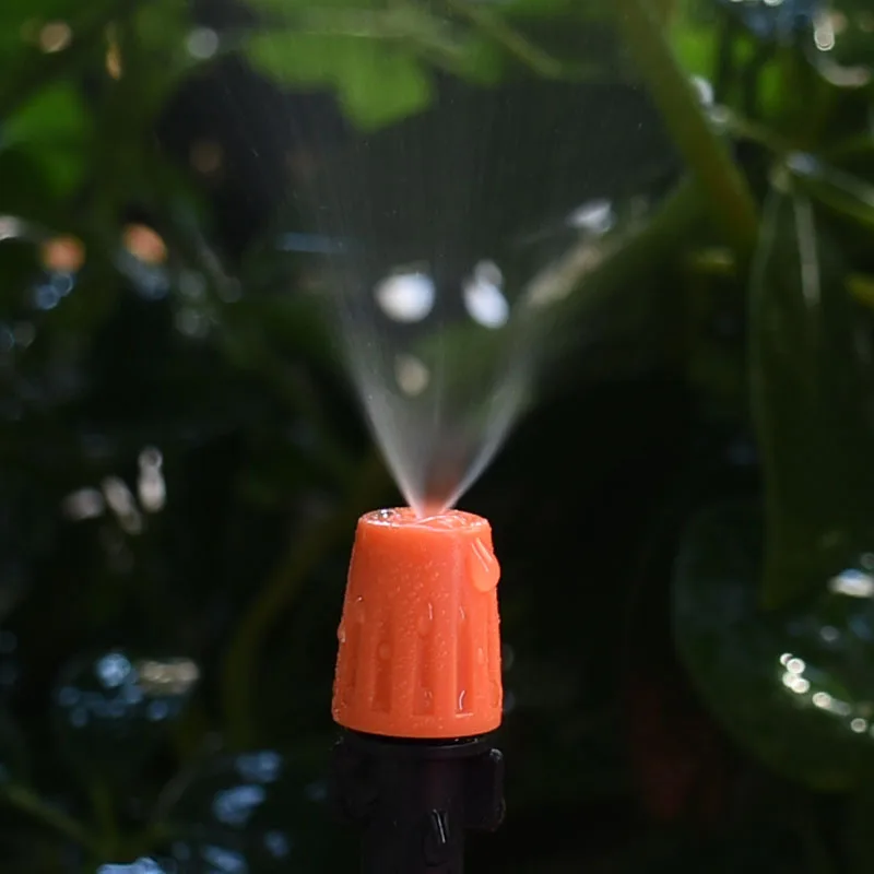DSC_6930