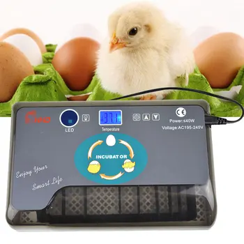 

12 Eggs Machine Hatcher Bird Duck Incubadora Automatic Turning Chicken Egg-candlers Poultry Goose Incubator Digital Led