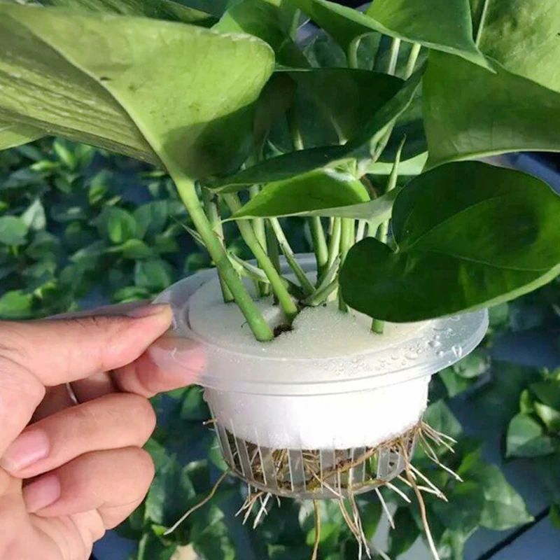 98mm Net Cup 50pcs Soilless Grow Aquaponics Hydroponics Net Pot Mesh Basket Planting Cup Hydroponic NFT