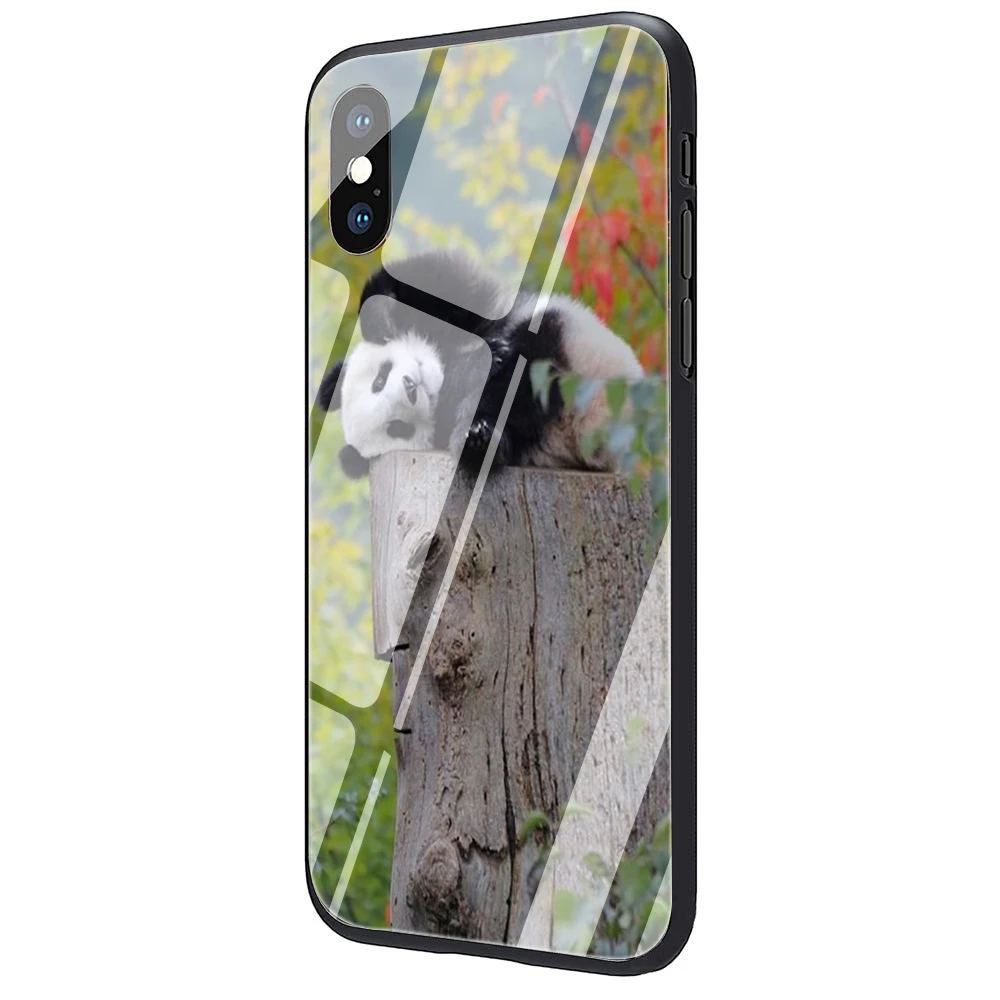 Чехол EWAU Panda on the tree из закаленного стекла для iPhone 11 Pro 6 6S Plus 7 8 Plus X XS XR XS Max - Цвет: G5