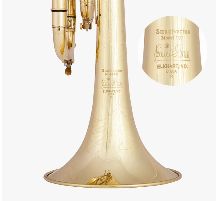 QQ图片20200222134504