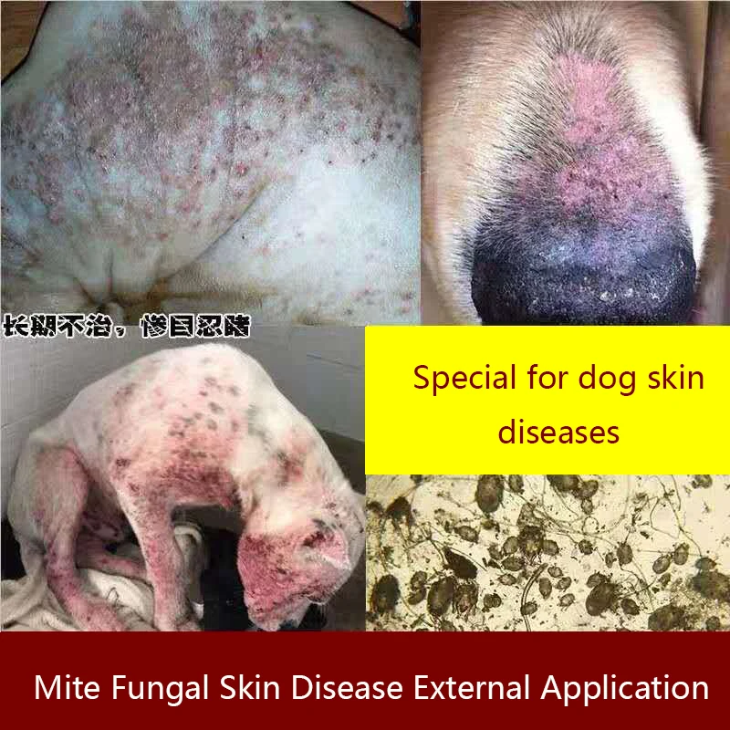 Dog Skin Ulcer Spray 120ml Pet Fungal Infection Dermatitis Mite Itching