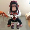 Famous Multi-Action,Funny Cymbal Playing Simulation Monkey the Chimp Vintage Electronic Plush Decoration Toy Original Source 1
