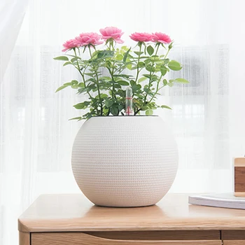 

Creative tabletop flowerpot ball automatic water absorption indoor pineapple fleshy flower pot drip pot pots for plants CL1101