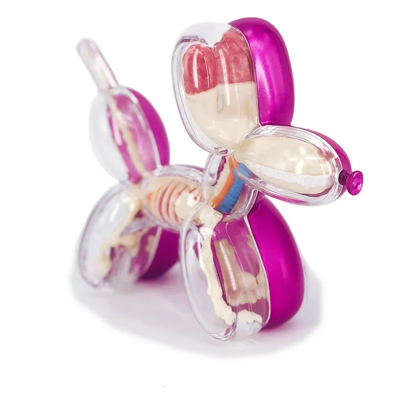 

Mighty Jaxx 4D Master X Jason Freeny Statue Animals Dissected Balloon Dog Figurine Resin Art&Craft Home Decoration