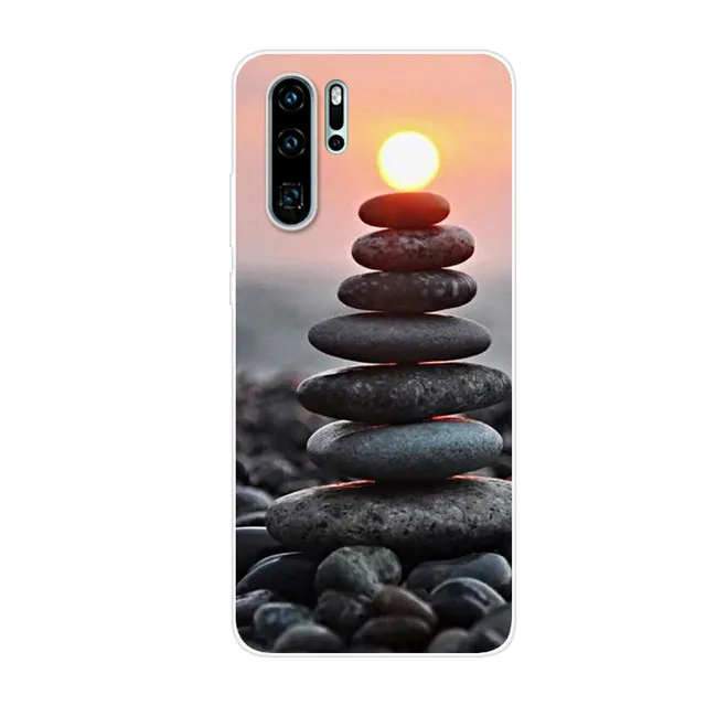 Чехол для телефона Huawei P30 Pro чехол P30Pro силиконовый мягкий из ТПУ с рисунком Lite P30Lite