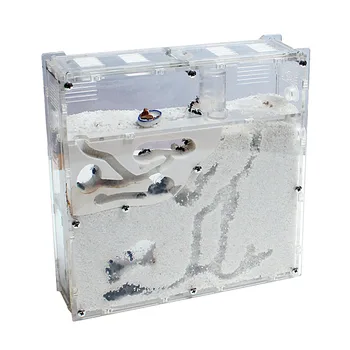 

The ant workshop sends the queen of manor, castle, sand nest, pet nest