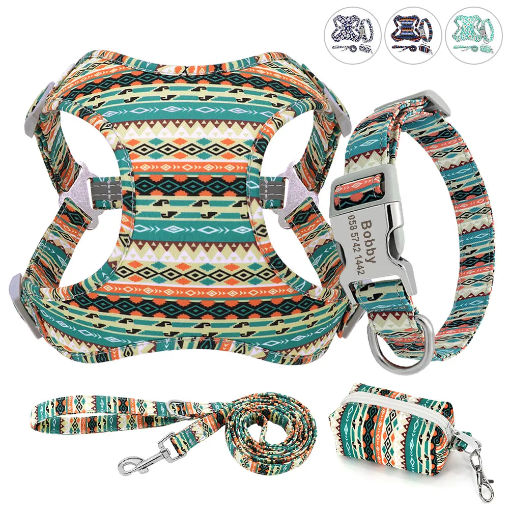 Buy Dog Collars, Leads & Harnesses Online