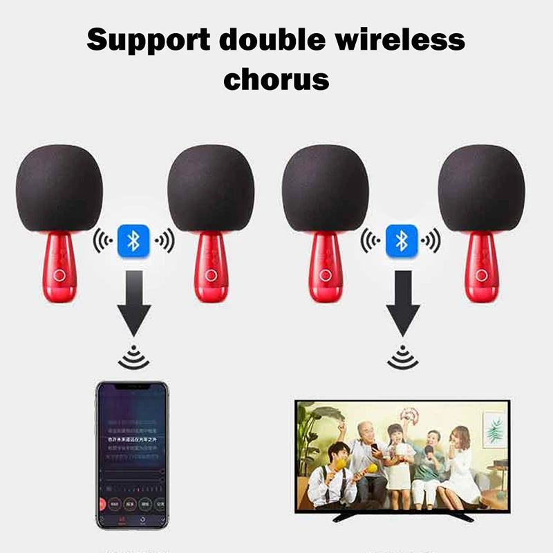 G2 Big Egg Professional Wireless Microphone