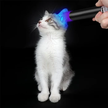 

365nm UV Flashlight Rechargeable 3W LED Ultraviolet Light Super Mini Cat Moss Detection USB Torch Flashlight with Filter Lens
