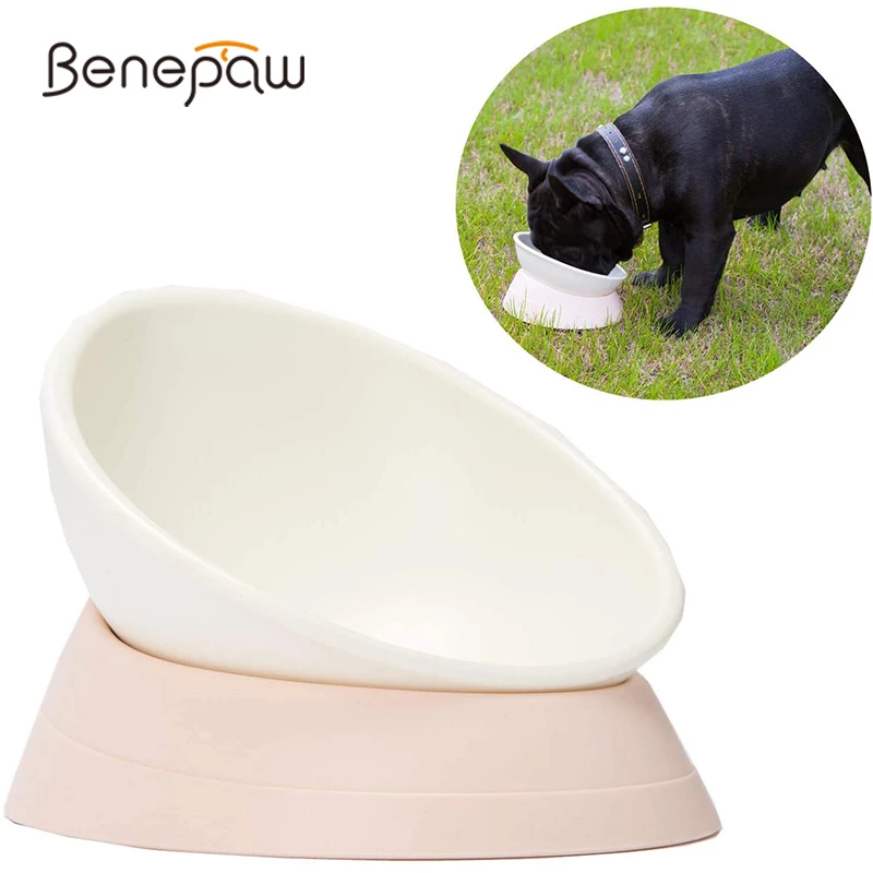 Are Raised Dog Bowls Safe