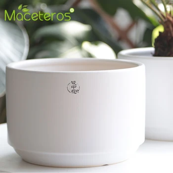 

Northern Europe Wind Originality Outsize Indoor A Living Room Tree To Ground Pot Culture Green Trailing Plants Bird Of Paradise