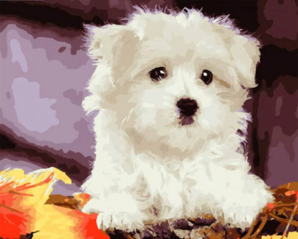 SZHC1-2973 HUACAN Picture By Numbers Kits Dog Animal Drawing Canvas HandPainted Painting DIY Art Home Decoration Gift - Цвет: SZHC1-2973