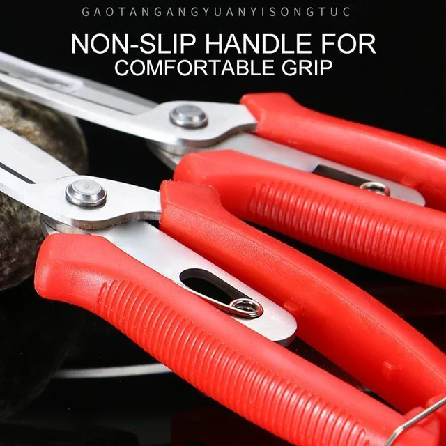 Lonbor® Mezőgazdasági Vékony Olló Virágok Vékonyító Többcélú Metszőszerszámok Dupla Portos Gyümölcsfák Vékonyodnak - Image 6