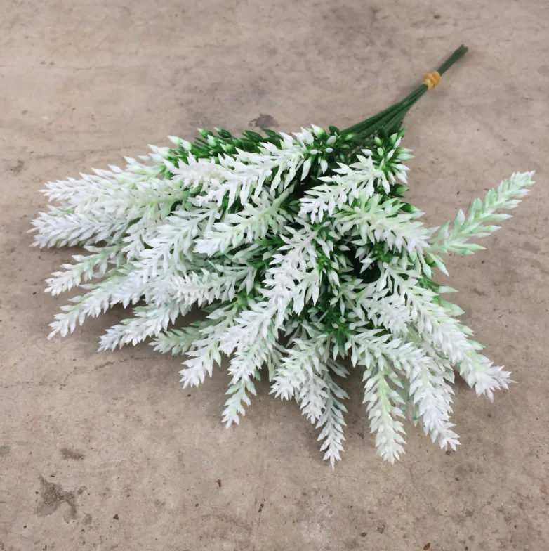小5叉薰衣草 (8)
