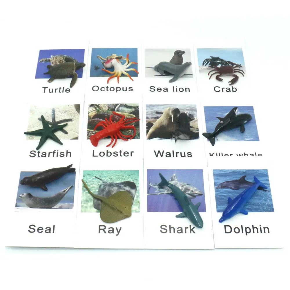 Montessori Toys Ocean Animal Match Cards and Figurines, Matching Game Language Learning Materials Juguetes Montessori L1046F