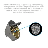 Electronic Cigarettes