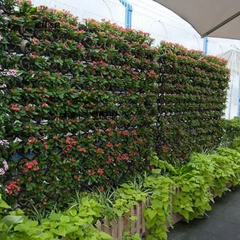 

Wall Hanging Planting Bags Green 2/3/6/4/9/18/36/64/72 Pockets Vertical Garden Vegetable Living Garden Planting Bag Home Supplie