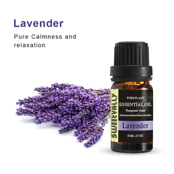 

Hot Sale 10ml Lavender Essential Oil For Aromatherapy Diffusers Relieve Stress Flower Fruit Organic Body Essential Oils