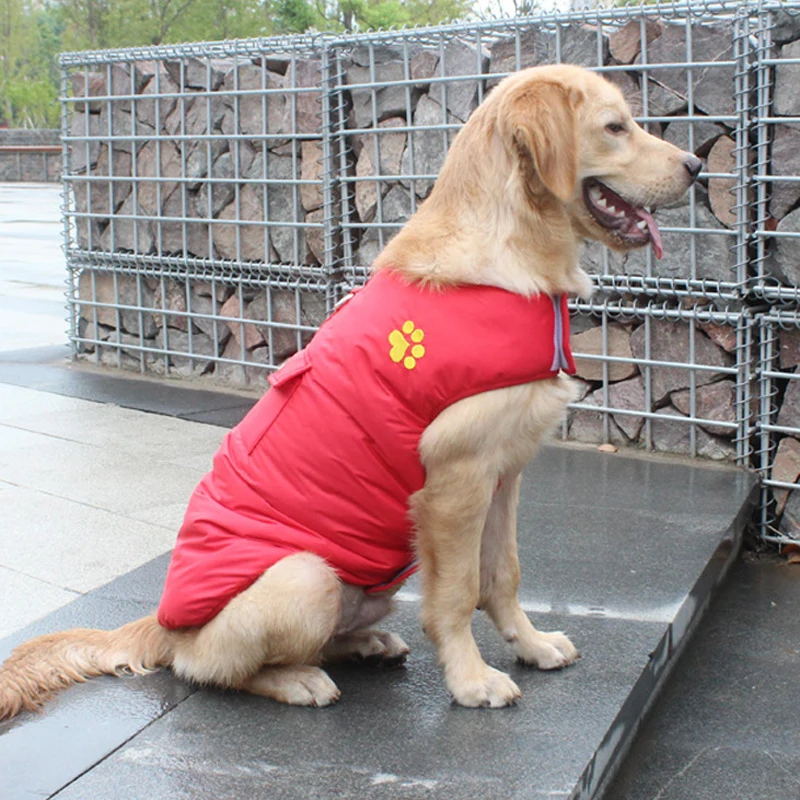 11822479413_609020808