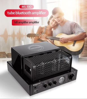 

KYYSLB 220V 25W*2 4-6ohms Fever Amplifier 4.2 Bluetooth Tube Hifi Amplifier with Independent Adjustment of High and Low Bass