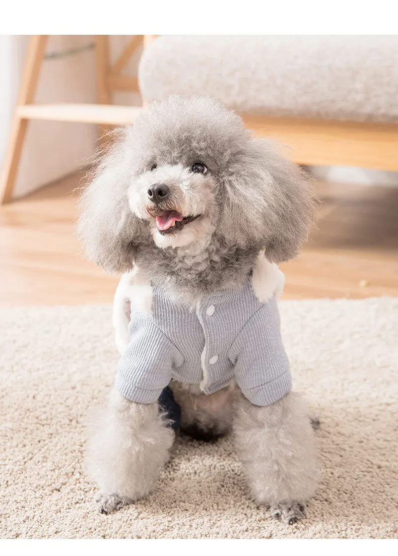 Snailhouse новая одежда для собак, для питомцев, четырехногая хлопковая одежда, маленькая плюшевая собака, щенок, котенок, теплая утолщенная осенне-зимняя одежда