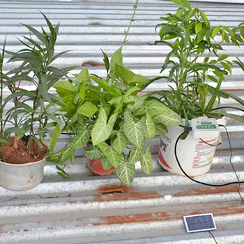 

Irrigation Timing Device Intelligent Watering Timer ABS 77pcs Botany Home Garden Gardener The Flower Beds Water Tap