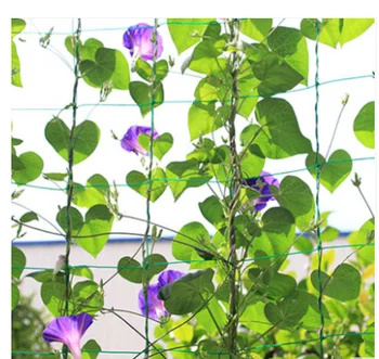 

Square climbing nets home gardena net cucumber climbing sementes de plantas de flores tools