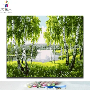 

Paints by numbers with kits package landscape Green birch forest pictures colorings paintings by numbers for sofa wall decor