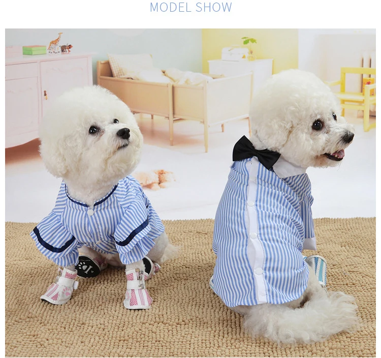 11711645985_1368698927