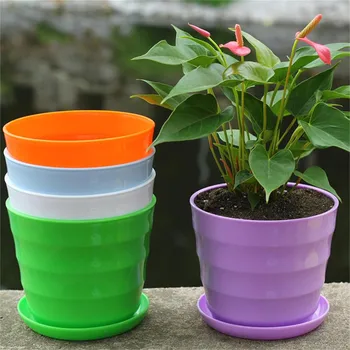 

5PC Mini Creative Eco-friendly Colourful Round Plant pot Plastic Flower Pots Plants Bonsai Nursery Pots Garden Home Office Decor