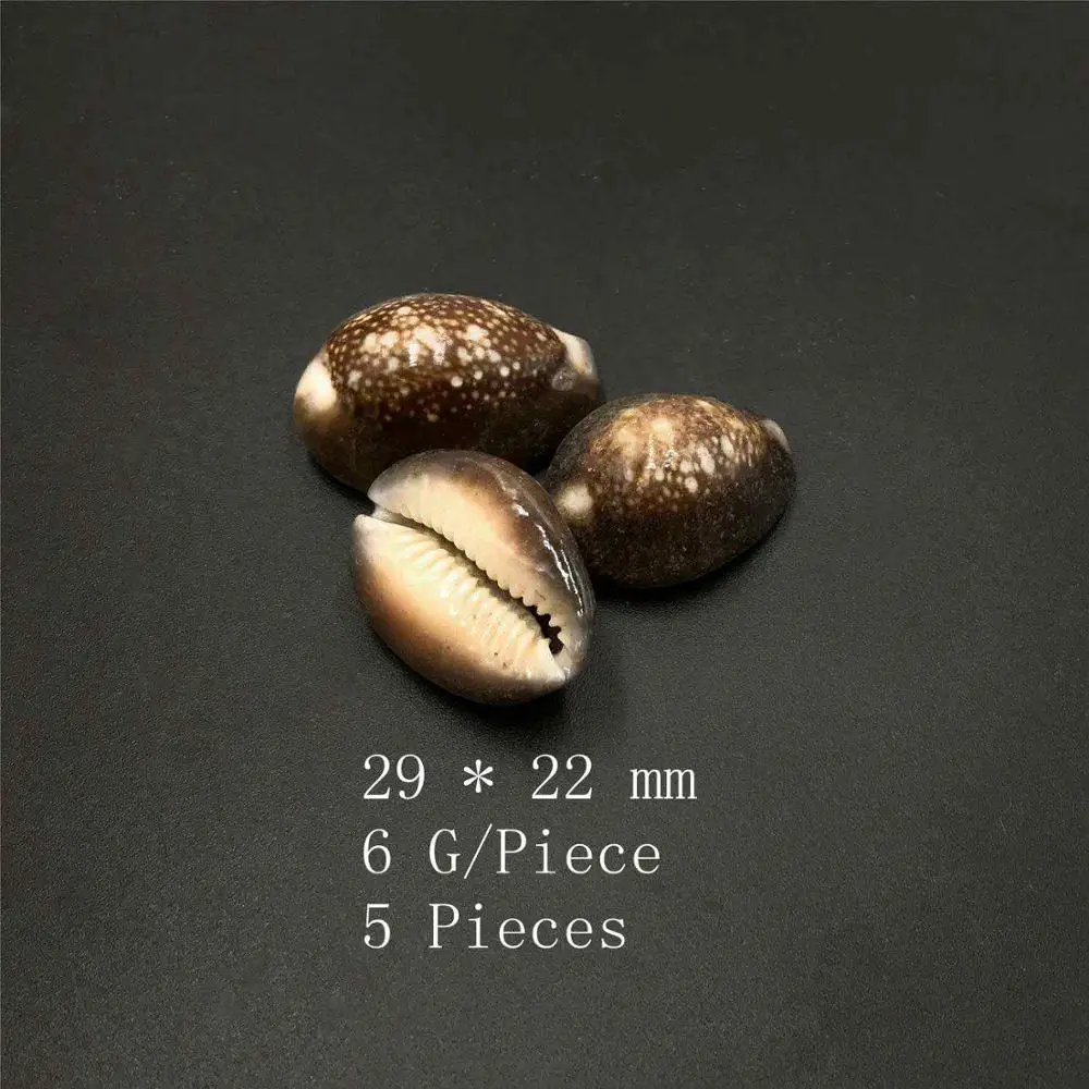 5 pieces 3-30 штук 21*15 мм двойные отверстия раковины, натуральная основа, очаровательные черные Каури море пляж снаряды Рукоделие "сделай сам" для изготовления ювелирных украшений Цепочки и ожерелья - Цвет: 5 pieces