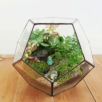 

1pcs Glass Irregular Geometric Terrarium Box Succulent Air Plant Fern Moss Pot Planter Polyhedron Display Pot Tabletop