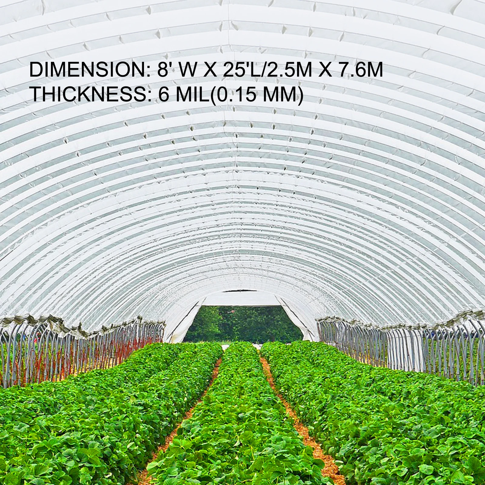 thumbnail image 2 of 8 Mil Clear Greenhouse Plastic Sheeting - 4 Year UV Resistant (20' X 40') - Heavy Duty Polyethylene Film 2 of 9
